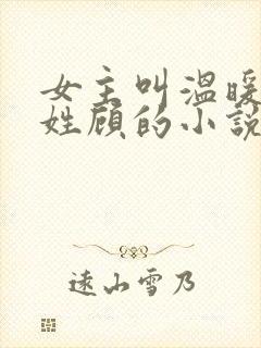 女主叫温暖男主姓顾的小说