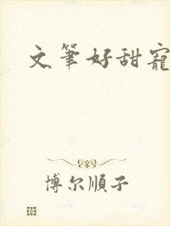 文笔好甜宠古言