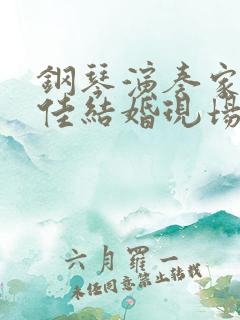 钢琴演奏家王羽佳结婚现场