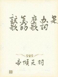 该怎么办是哪首歌的歌词