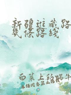 新疆进藏路线有几条路线