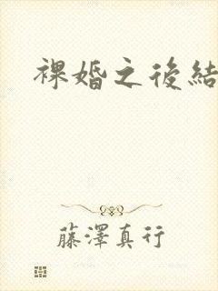 裸婚之后结局