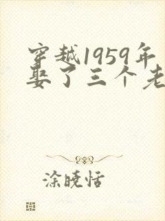穿越1959年娶了三个老婆的小说