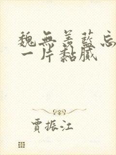 魏无羡蓝忘机腿一片黏腻