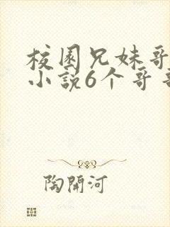 校园兄妹哥高h小说6个哥哥