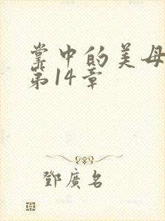 掌中的美母版主第14章