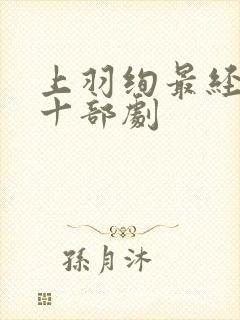 上羽绚最经典的十部剧