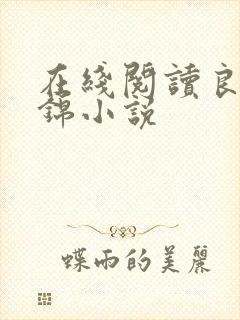 在线阅读良陈美锦小说