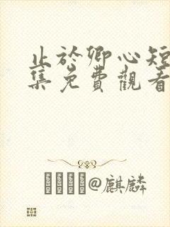 止于卿心短剧全集免费观看第35集