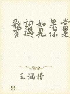 歌词如果当初没有遇见你是什么歌