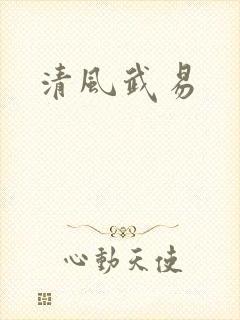 清风武易