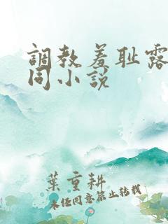 调教羞耻露出男同小说