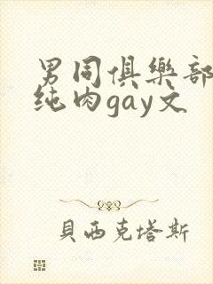 男同俱乐部高h纯肉gay文