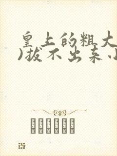 皇上的粗大(h)拔不出来小说