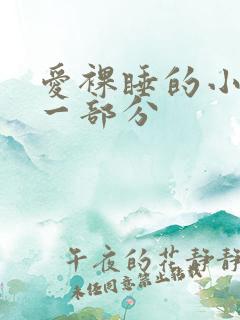 爱裸睡的小丹第一部分
