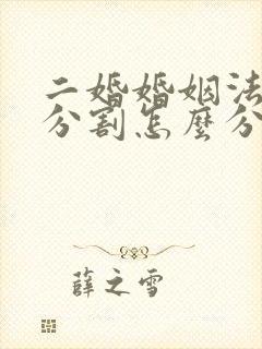 二婚婚姻法财产分割怎么分