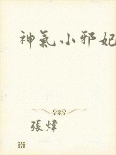 神气小邪妃
