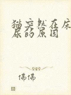 猫突然在床上撒尿的原因