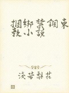 捆绑禁锢束缚调教小说