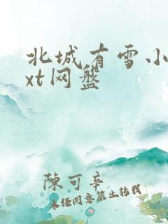 北城有雪小说txt网盘
