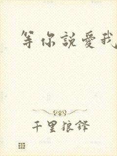 等你说爱我小说