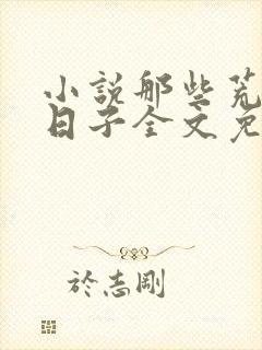 小说那些荒唐的日子全文免费阅读