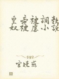 皇帝被调教成贱奴被虐小说