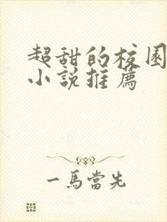 超甜的校园言情小说推荐