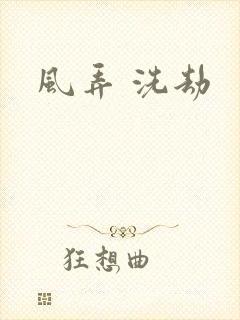 风弄 洗劫