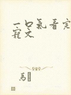 一口气看完的甜宠文