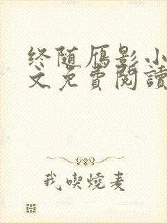 终随雁影小说全文免费阅读