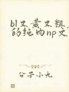 bl又黄又粗暴的纯肉np文