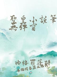 圣皇小说笔趣阁无弹窗