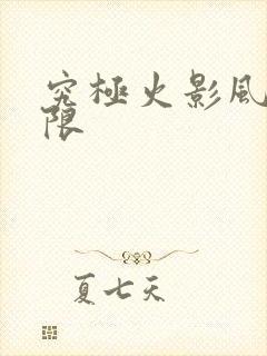 究极火影风暴无限