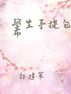 学生手提包 帆布