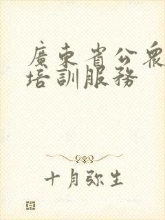 广东省公众驾驶培训服务