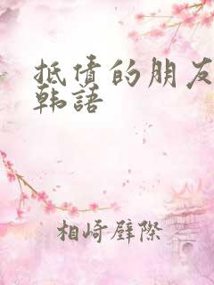 抵债的朋友麦子韩语