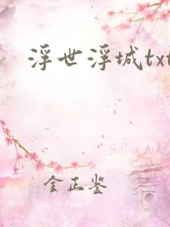 浮世浮城txt