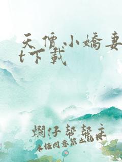 天价小娇妻txt下载