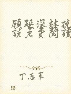 顾延深林挽音小说免费阅读最新章节