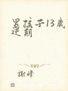 男孩子13岁叛逆期