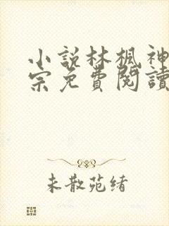 小说林枫神霄剑宗免费阅读
