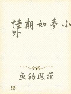 佳期如梦小说番外