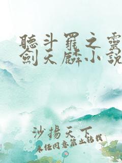 听斗罗之灵珠神剑天麟小说