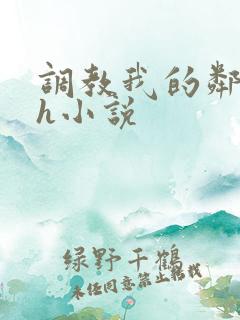 调教我的邻居高h小说