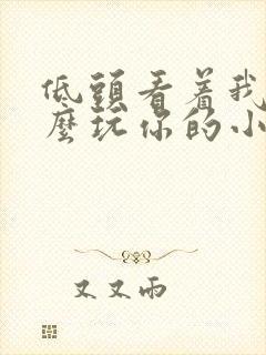 低头看着我是怎么玩你的小说