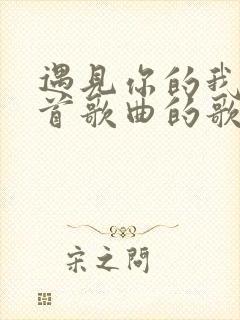 遇见你的我是哪首歌曲的歌词