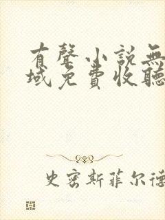 有声小说无敌剑域免费收听