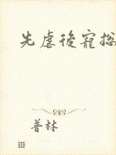 先虐后宠总裁文