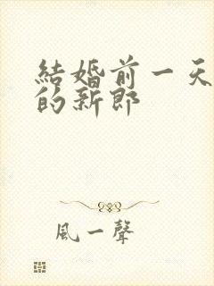 结婚前一天出轨的新郎